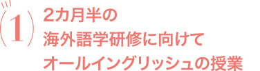 留学生と一緒に学べるから、語学力が自然にアップ!