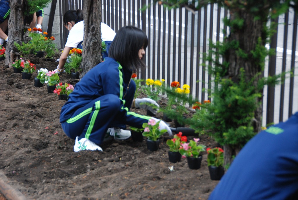 分担して草むしりから始め、花壇には数種類の花を植えました。